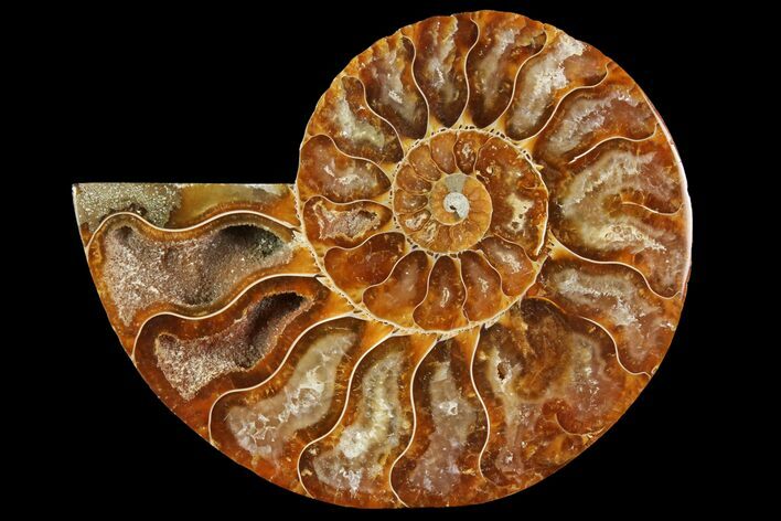 Agatized Ammonite Fossil (Half) - Madagascar #114937